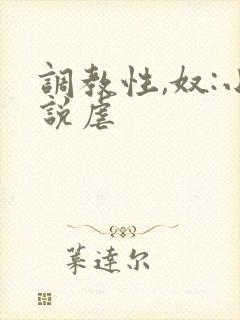调教性,奴:小说虐