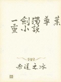 一剑独尊叶玄叶灵小说