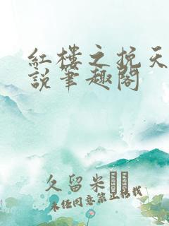 红楼之挽天倾小说笔趣阁