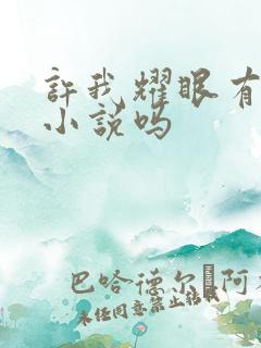 许我耀眼有原著小说吗