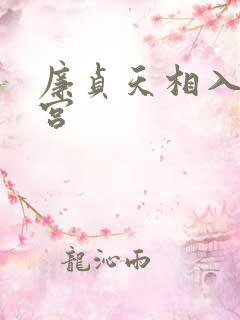 廉贞天相入财帛宫