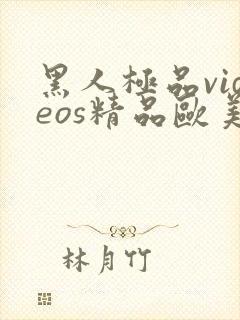 黑人极品videos精品欧美