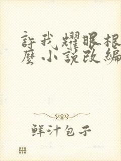 许我耀眼根据什么小说改编