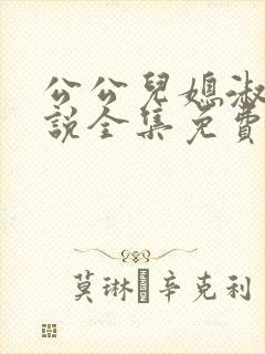 公公儿媳淑容小说全集免费阅读