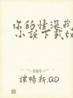 你的情深我不配 小说下载txt