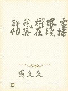 许我耀眼电视剧40集在线播放免费