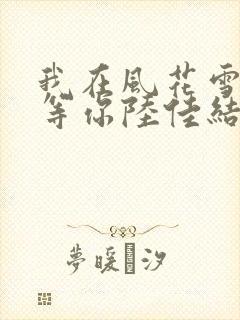 我在风花雪月里等你陆佳结局