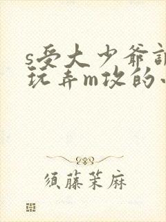 s受大少爷调教玩弄m攻的小说