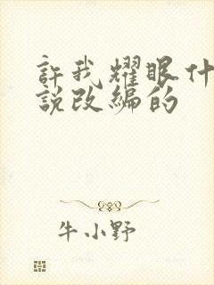 许我耀眼什么小说改编的