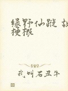 绿野仙踪 故事梗概