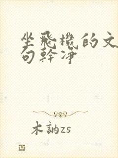 坐飞机的文案短句干净