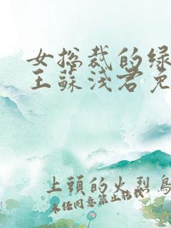 女总裁的绿帽兵王苏浅君免费阅读