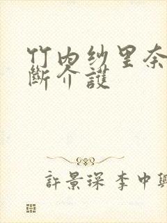 竹内纱里奈 禁断介护