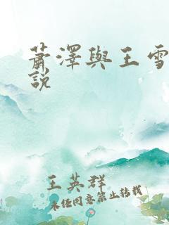 萧泽与王雪凤小说