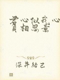 君心似我心定不负相思意