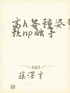 高h各种姿势调教np触手