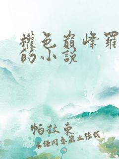 权色巅峰罗泽凯的小说