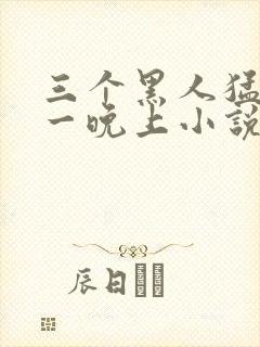 三个黑人猛躁我一晚上小说