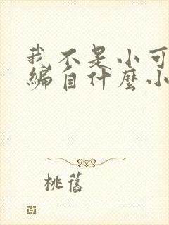 我不是小可怜改编自什么小说