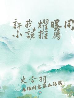 许我耀眼同人文小说推荐