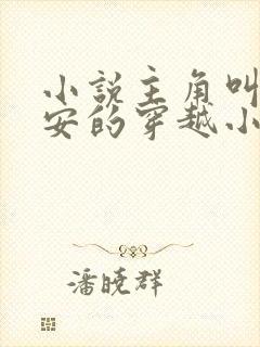 小说主角叫李辰安的穿越小说叫什么