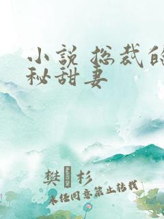 小说 总裁的神秘甜妻