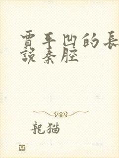 贾平凹的长篇小说秦腔