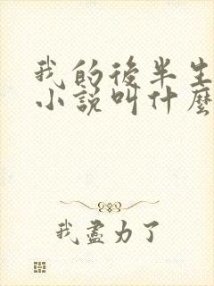 我的后半生原著小说叫什么