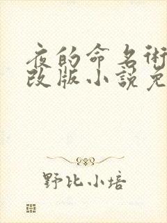 夜的命名术未修改版小说免费阅读