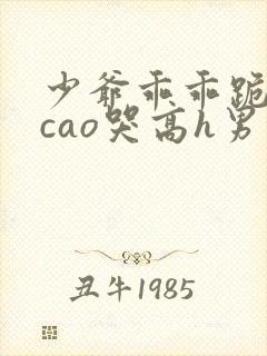 少爷乖乖跪趴被cao哭高h男男小说