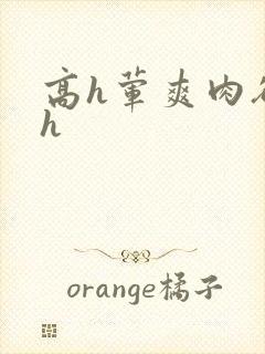 高h荤爽肉欲文h