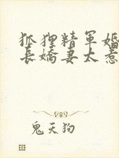 狐狸精军婚:首长娇妻太惹火