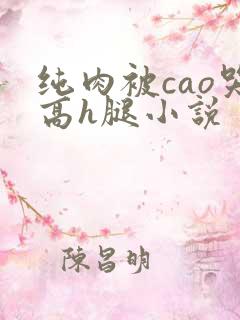 纯肉被cao哭高h腿小说