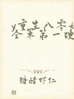 y重生八零嫁给全军第一硬汉