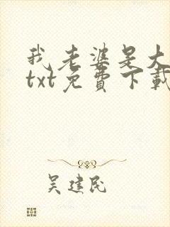 我老婆是大明星txt免费下载