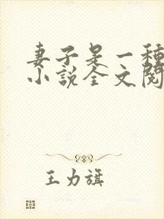 妻子是一种感觉小说全文阅读