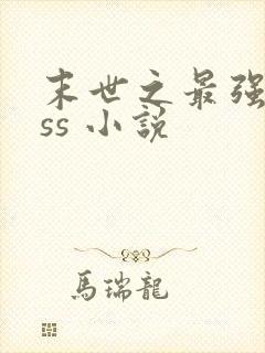 末世之最强boss 小说