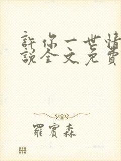 许你一世情深小说全文免费阅读