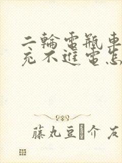 二轮电瓶车电瓶充不进电怎么修复