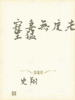 宠妻无度老公太生猛