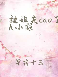 被姐夫cao了h小说