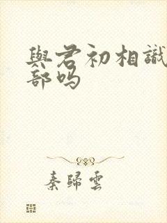 与君初相识有两部吗