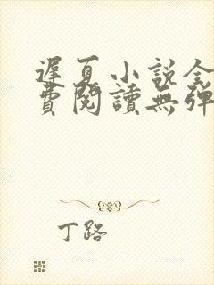 迟夏小说全文免费阅读无弹窗