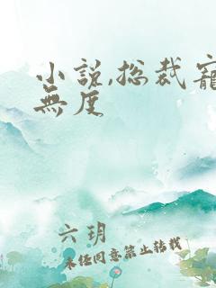 小说,总裁宠妻无度