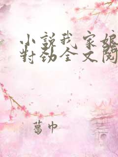 小说我家娘子不对劲全文阅读免费