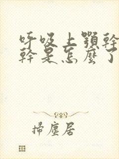 呼吸上颚干咽喉干是怎么了