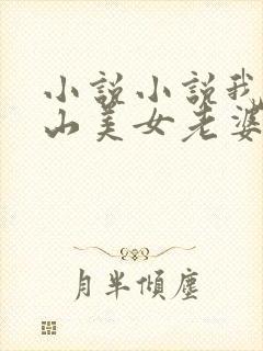 小说小说我的冰山美女老婆