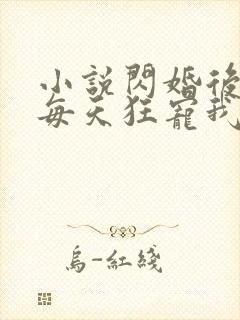 小说闪婚后大叔每天狂宠我免费阅读