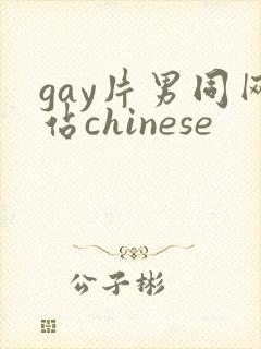gay片男同网站chinese