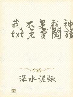 我不是戏神小说txt免费阅读